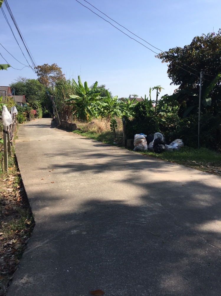 For SaleLandChiang Mai : Beautiful land plot for sale, 1-1-54.2 rai, near Maejo University, San Sai, land behind next to a stream