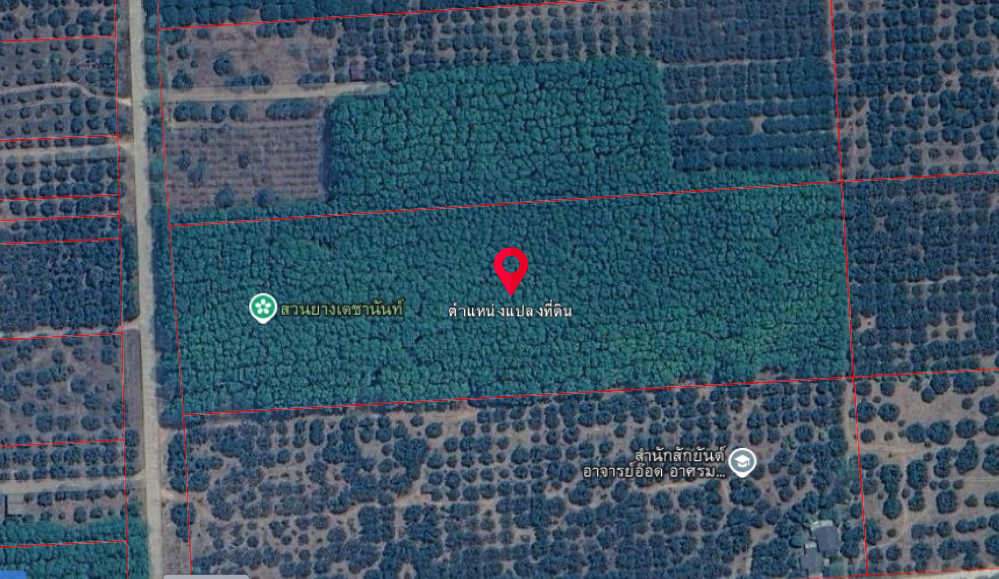 For SaleLandChiang Mai : Land for sale for rubber plantation, ready for tapping, 20-0-53 rai, Phrao District, near Doi Mae Pang Temple, 8 km.