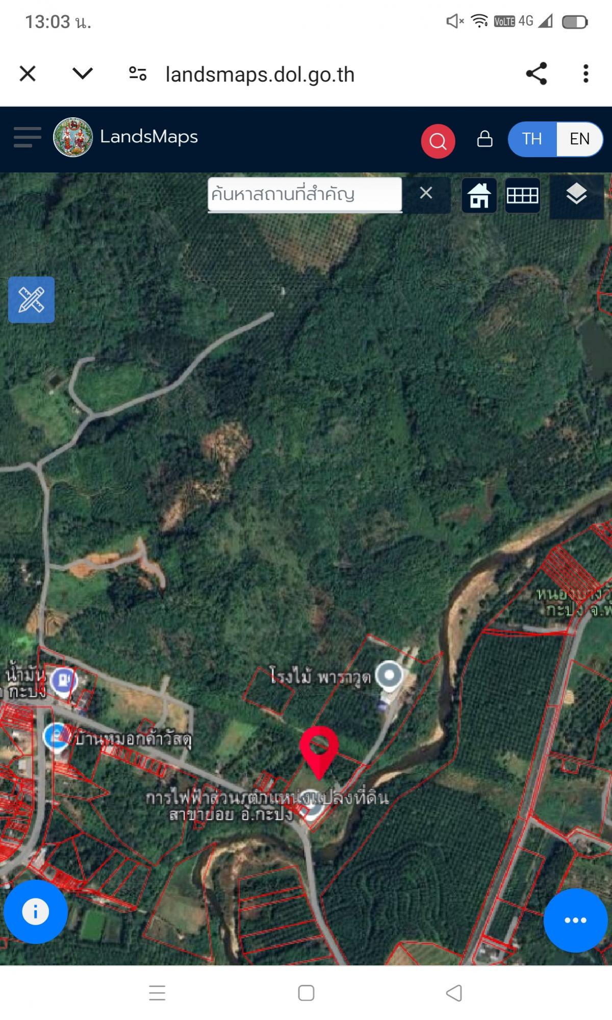For SaleLandPhangnga : Land in Kapong, Phang Nga, palm plantations, rubber plantations, mangosteen plantations and coconut plantations