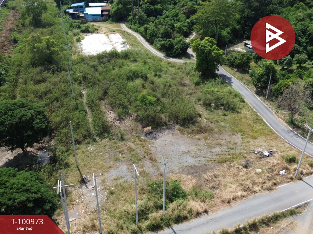 For SaleLandAyutthaya : Land for sale, area 2 rai 1 ngan 38 square wa, Ban Ko, Phra Nakhon Si Ayutthaya