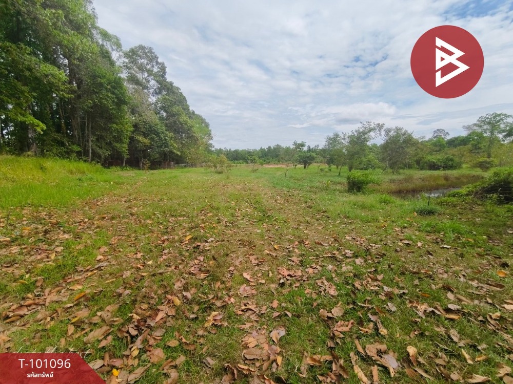 For SaleLandChanthaburi : Land for sale, area 8 rai 1 ngan 5.9 square wa, Khlung, Chanthaburi