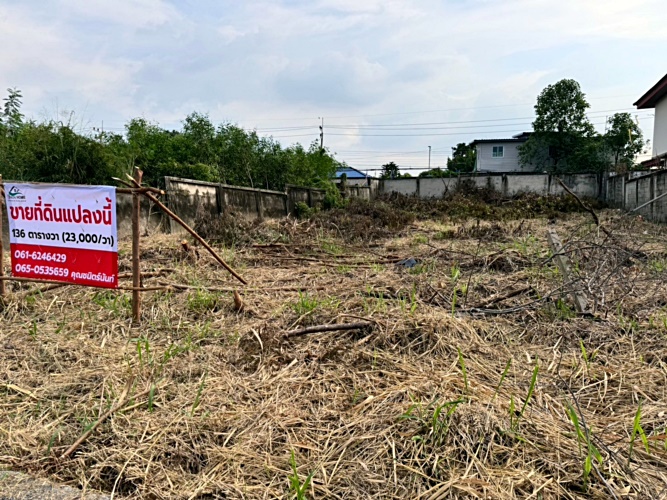 ขายที่ดินปทุมธานี รังสิต ธรรมศาสตร์ : ขายที่ดินเมืองเอก รังสิต โครงการ 3 เนื้อที่ 136 ตร.ว. ถมแล้ว เมืองปทุมธานี .ใกล้มหาวิทยาลัยรังสิต (N.1483)