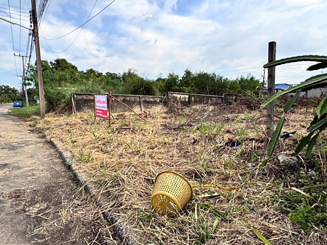 ขายที่ดินปทุมธานี รังสิต ธรรมศาสตร์ : ขายที่ดินเมืองเอก รังสิต โครงการ 3 เนื้อที่ 136 ตร.ว. ถมแล้ว เมืองปทุมธานี .ใกล้มหาวิทยาลัยรังสิต (N.1483)