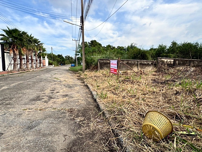 ขายที่ดินปทุมธานี รังสิต ธรรมศาสตร์ : ขายที่ดินเมืองเอก รังสิต โครงการ 3 เนื้อที่ 136 ตร.ว. ถมแล้ว เมืองปทุมธานี .ใกล้มหาวิทยาลัยรังสิต (N.1483)