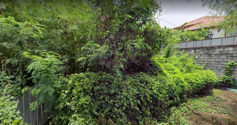 ขายที่ดินสุขุมวิท อโศก ทองหล่อ : ขายที่ดิน 333 ตร.วา ซอยสุขุมวิท 69 ติดหมู่บ้านแสนสิริ