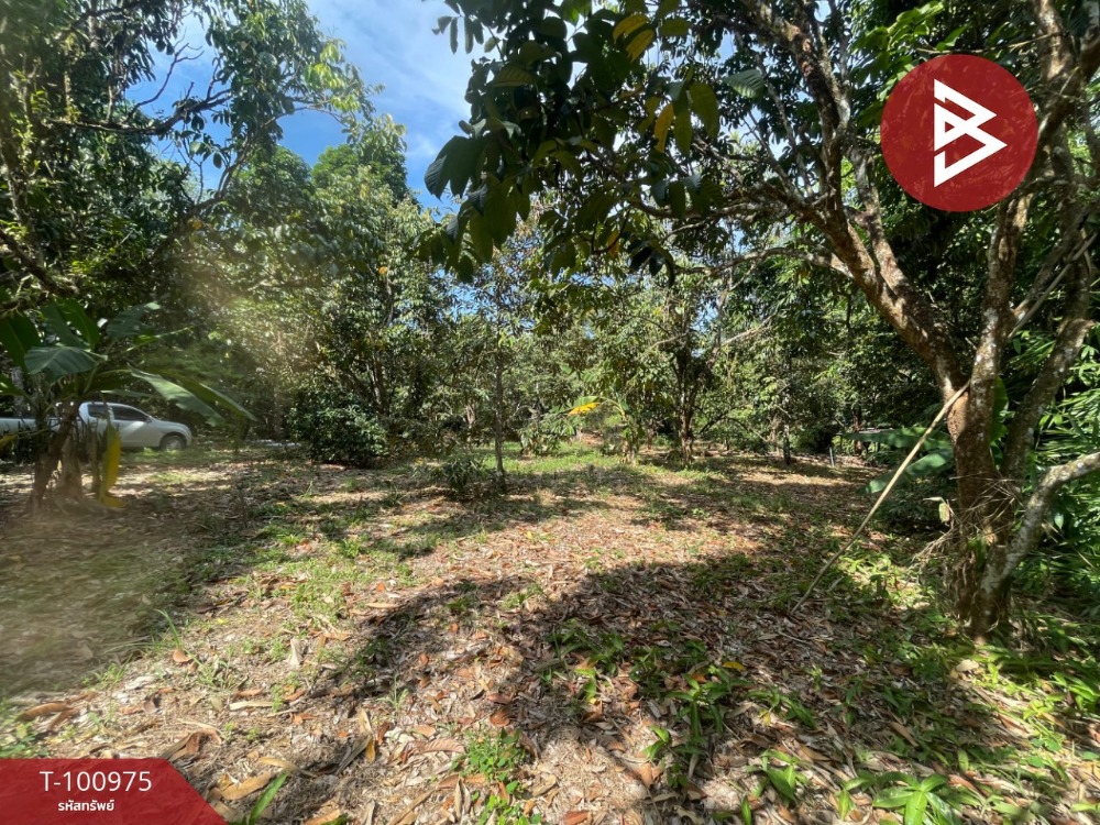 For SaleLandChanthaburi : Land for sale, area 6 rai 3 ngan 13 square wa, Makham, Chanthaburi