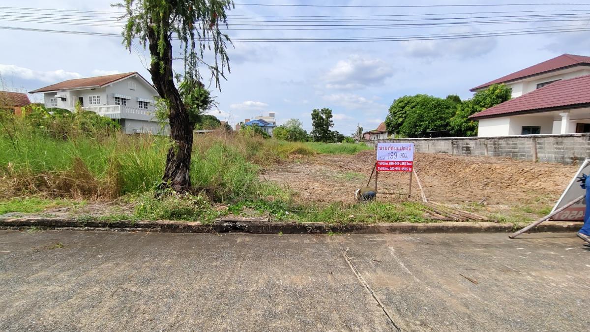 For SaleLandPathum Thani,Rangsit, Thammasat : Land for sale in Krisdanakon 19 project, Soi Thichachon 4/5, Pathum Thani, 199 sq m., price 358,00,000 baht.