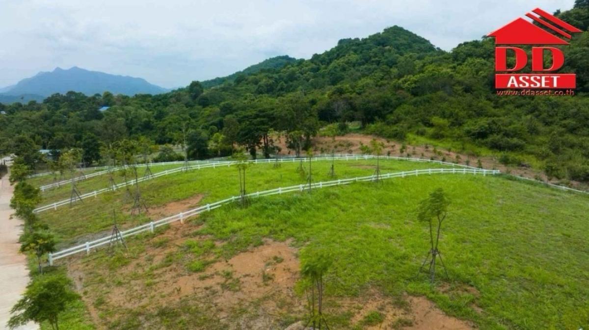 ขายที่ดินสระบุรี : ขายที่ดิน มวกเหล็ก สระบุรี แบ่งแปลงขาย แปลงละ 1 ไร่ ราคาขาย : ไร่ละ 8,000,000 บาท(ขายตารางวาละ 20,000 บาท )รหัส : L8030