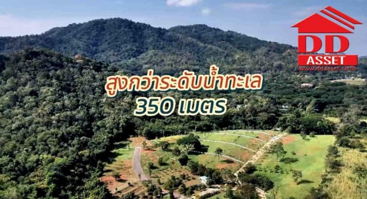 ขายที่ดินสระบุรี : ขายที่ดิน มวกเหล็ก สระบุรี แบ่งแปลงขาย แปลงละ 1 ไร่ ราคาขาย : ไร่ละ 8,000,000 บาท(ขายตารางวาละ 20,000 บาท )รหัส : L8030