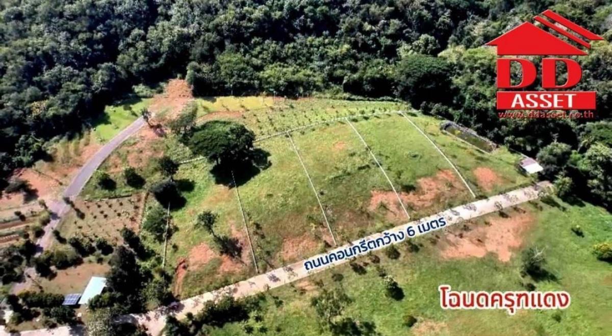 ขายที่ดินสระบุรี : ขายที่ดิน มวกเหล็ก สระบุรี แบ่งแปลงขาย แปลงละ 1 ไร่ ราคาขาย : ไร่ละ 8,000,000 บาท(ขายตารางวาละ 20,000 บาท )รหัส : L8030