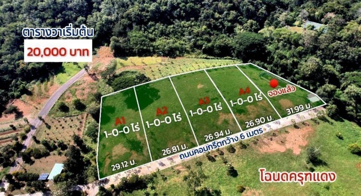 ขายที่ดินสระบุรี : ขายที่ดิน มวกเหล็ก สระบุรี แบ่งแปลงขาย แปลงละ 1 ไร่ ราคาขาย : ไร่ละ 8,000,000 บาท(ขายตารางวาละ 20,000 บาท )รหัส : L8030
