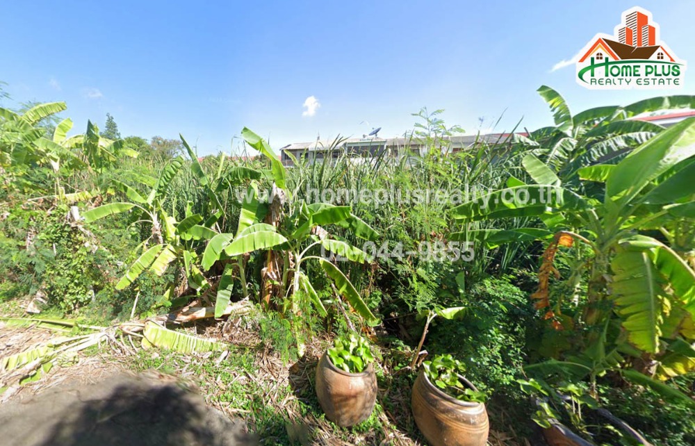 For SaleLandPathum Thani,Rangsit, Thammasat : Land in Soi Suphaphon Village near Makro Pathum Thani branch, Sam Khok District, Pathum Thani, area 75 square wah