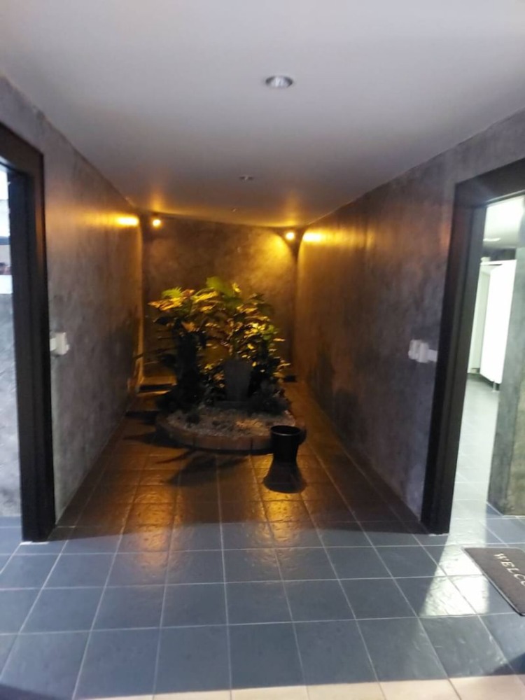 ให้เช่าอาคารพาณิชย์คลองเตย กล้วยน้ำไท : ให้เช่า อาคาร 3 ชั้น ถ.พระราม4 แขวงพระโขนง เขตคลองเตย เลขที่ 3741