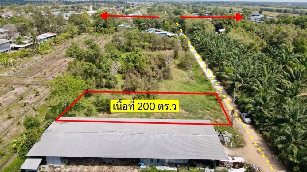 For SaleLandPathum Thani,Rangsit, Thammasat : Urgent Sale: Land in Klong 12, Nong Suea, Pathum Thani