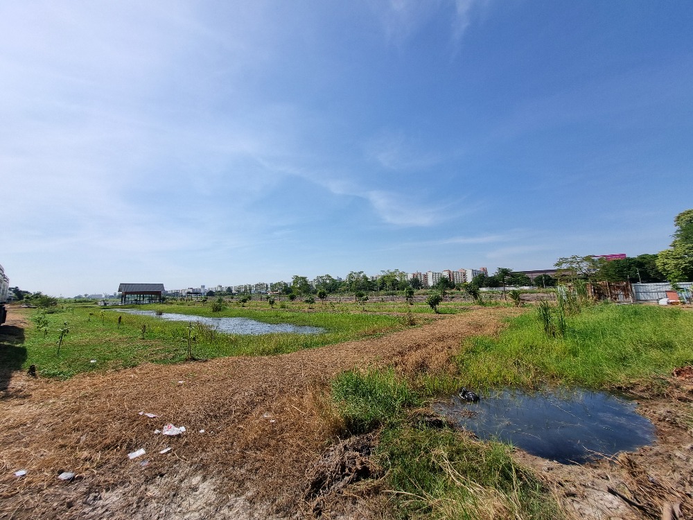 For SaleLandPathum Thani,Rangsit, Thammasat : Land for sale along Khlong Thanyaburi, Pathum Thani, size 34 rai, suitable for a village project, near Future Park Rangsit