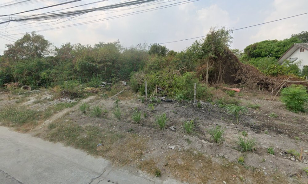 ขายที่ดินศรีราชา แหลมฉบัง บ้านบึง : ที่ดิน ติดถนนวิฑูรย์ดำริ บ้านบึง / (ขาย), Land next to Withun Damri Road Ban Bueng / (SALE) AA140