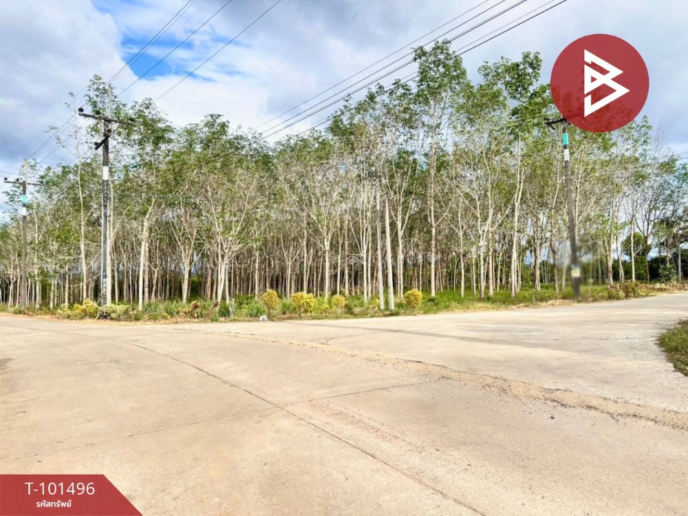 For SaleLandChanthaburi : Urgent sale of vacant land, area 8 rai 1 ngan 77 sq m, Makham, Chanthaburi