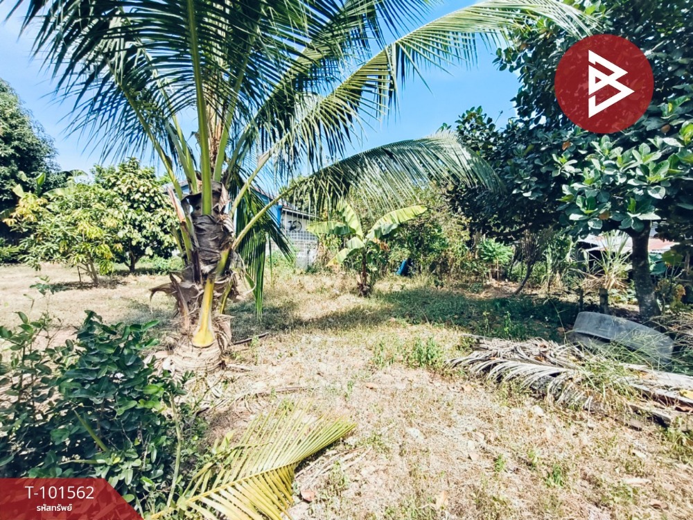 For SaleLandPattaya, Bangsaen, Chonburi : Urgent sale of vacant land, area 1 ngan, Ban Bueng, Chonburi