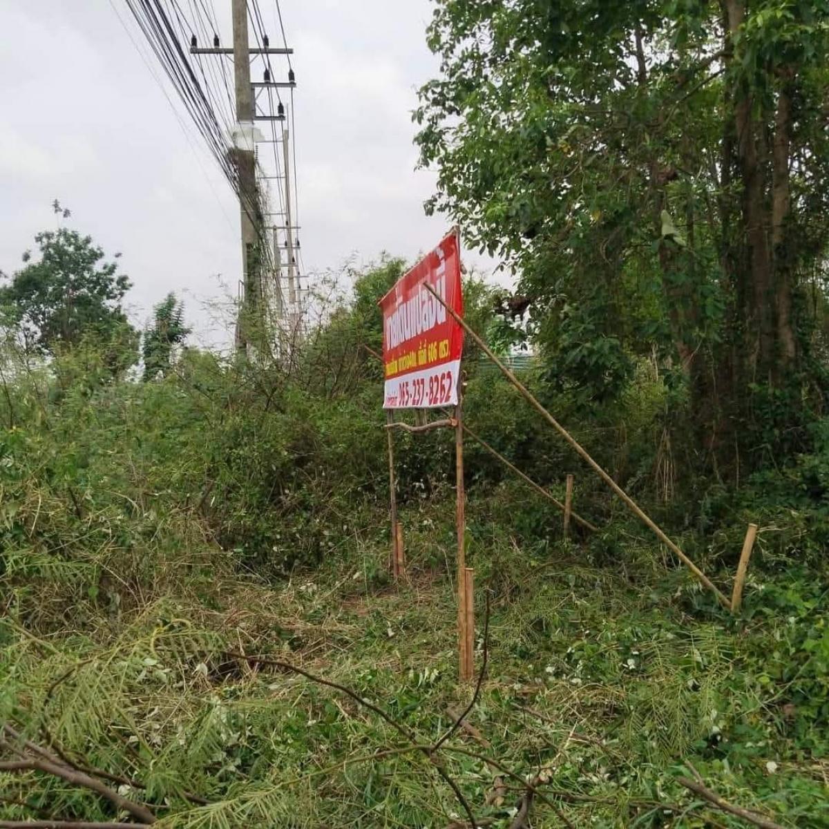 For SaleLandPhitsanulok : Land for sale 1 rai 2 jobs, Mueang Phitsanulok District, next to the city road.