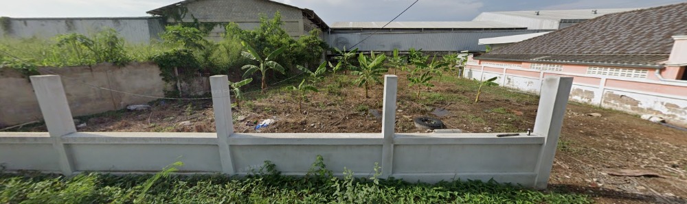 ขายที่ดินชะอำ เพชรบุรี : ขายที่ดินราคาถูก ชะอำ,เพชรบุรี