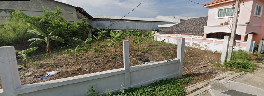 ขายที่ดินชะอำ เพชรบุรี : ขายที่ดินราคาถูก ชะอำ,เพชรบุรี