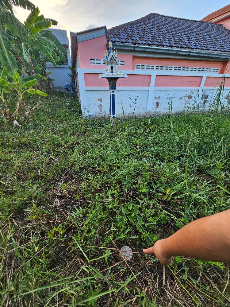 ขายที่ดินชะอำ เพชรบุรี : ขายที่ดินราคาถูก ชะอำ,เพชรบุรี