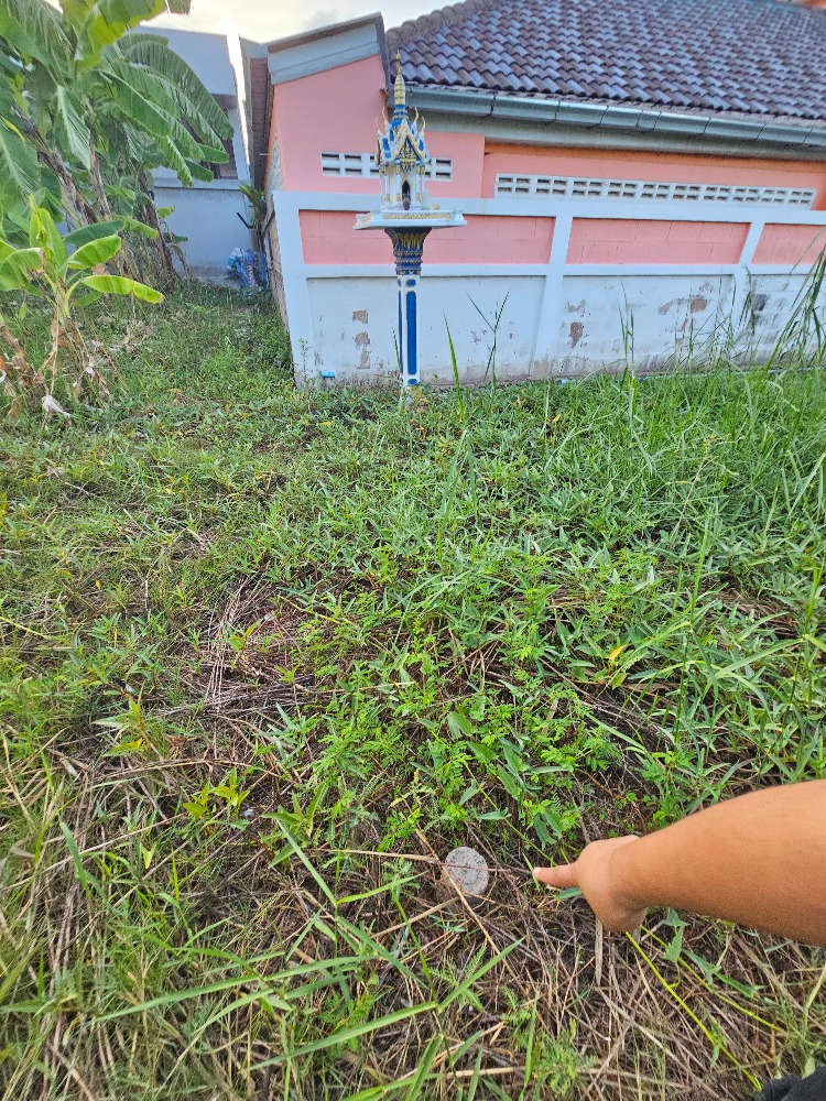 ขายที่ดินชะอำ เพชรบุรี : ขายที่ดินราคาถูก ชะอำ,เพชรบุรี