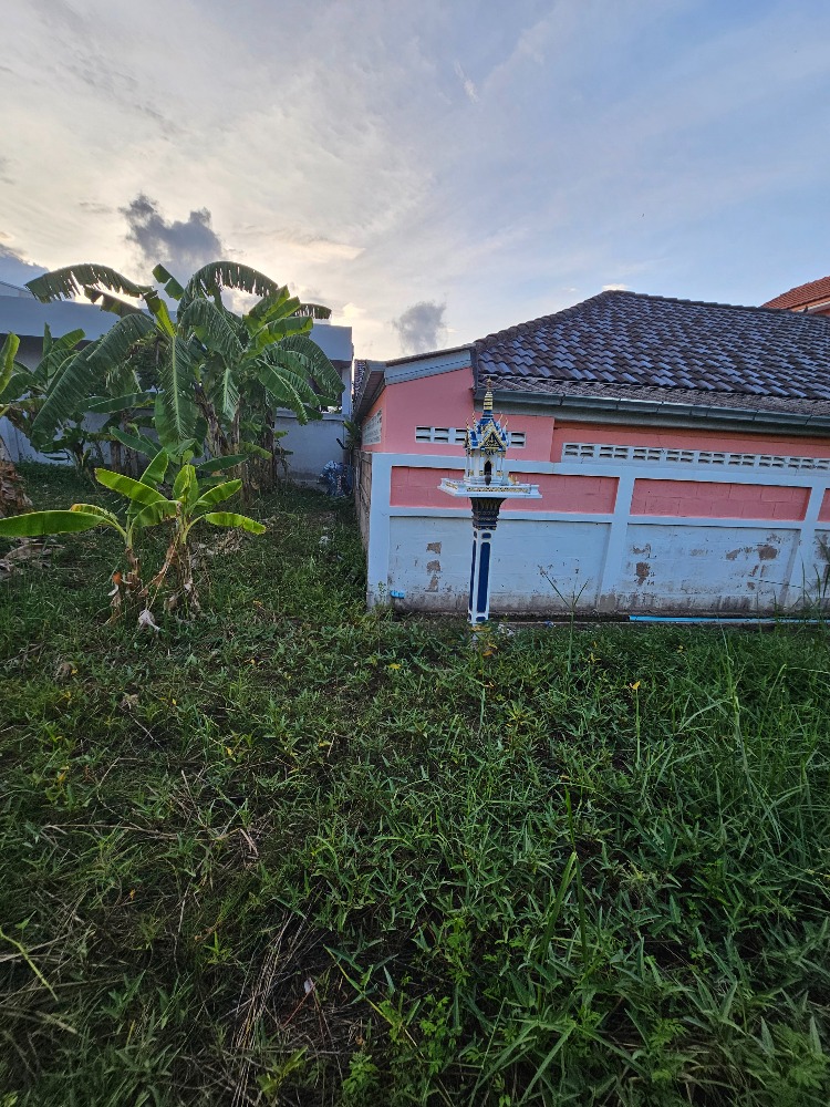 ขายที่ดินชะอำ เพชรบุรี : ขายที่ดินราคาถูก ชะอำ,เพชรบุรี