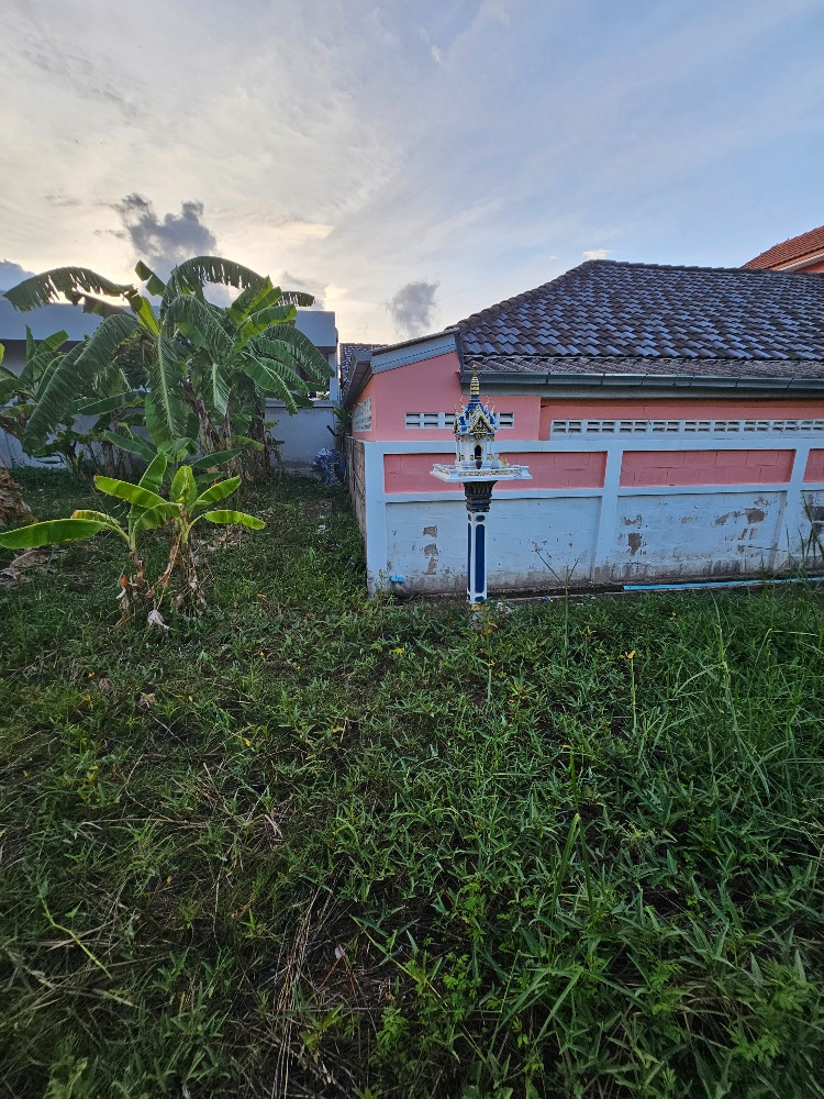 ขายที่ดินชะอำ เพชรบุรี : ขายที่ดินราคาถูก ชะอำ,เพชรบุรี