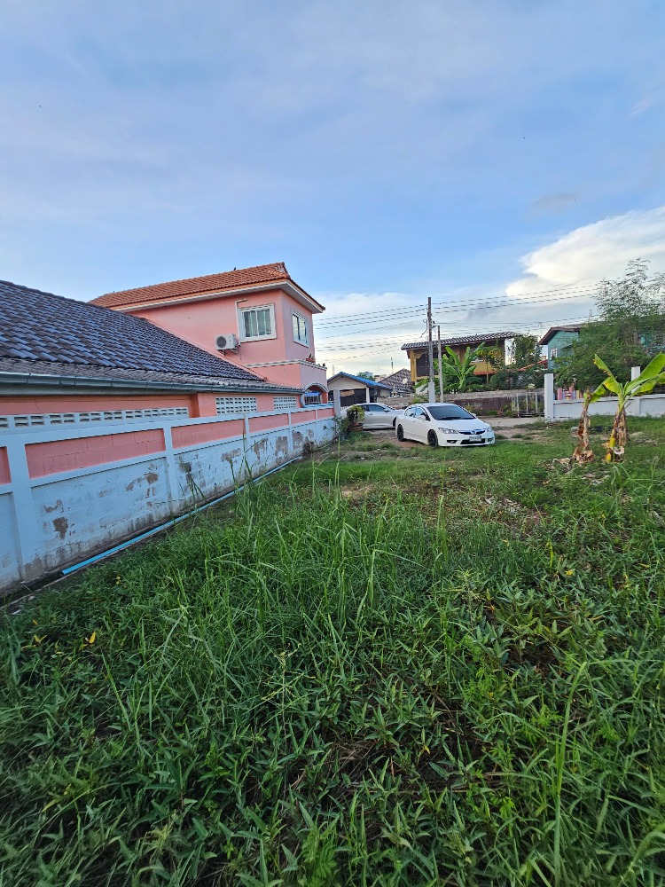 ขายที่ดินชะอำ เพชรบุรี : ขายที่ดินราคาถูก ชะอำ,เพชรบุรี