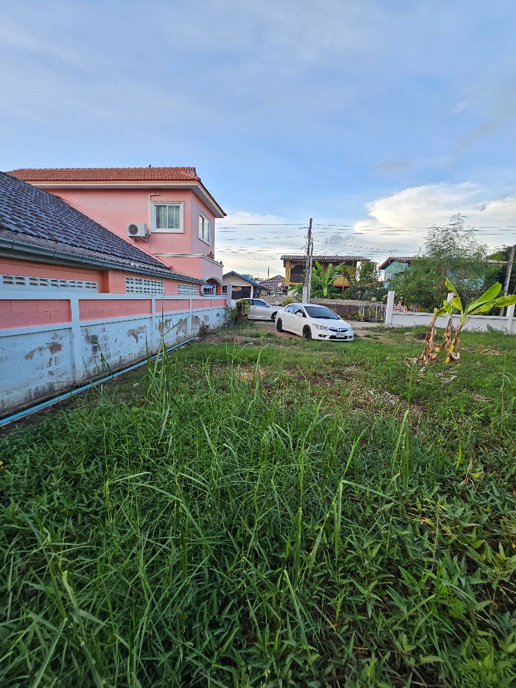 ขายที่ดินชะอำ เพชรบุรี : ขายที่ดินราคาถูก ชะอำ,เพชรบุรี