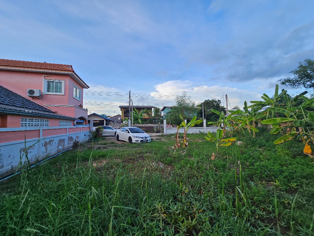 ขายที่ดินชะอำ เพชรบุรี : ขายที่ดินราคาถูก ชะอำ,เพชรบุรี