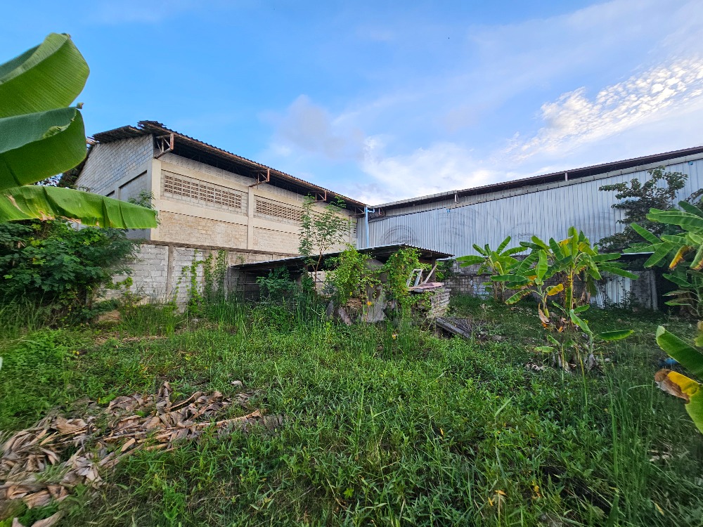 ขายที่ดินชะอำ เพชรบุรี : ขายที่ดินราคาถูก ชะอำ,เพชรบุรี