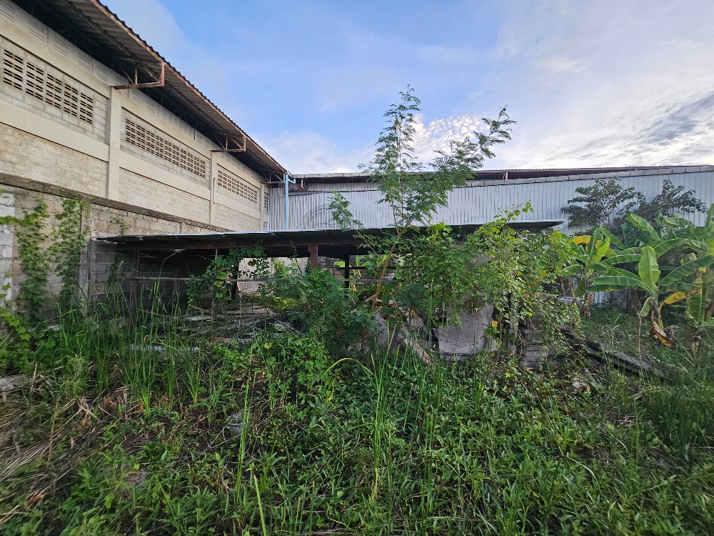 ขายที่ดินชะอำ เพชรบุรี : ขายที่ดินราคาถูก ชะอำ,เพชรบุรี