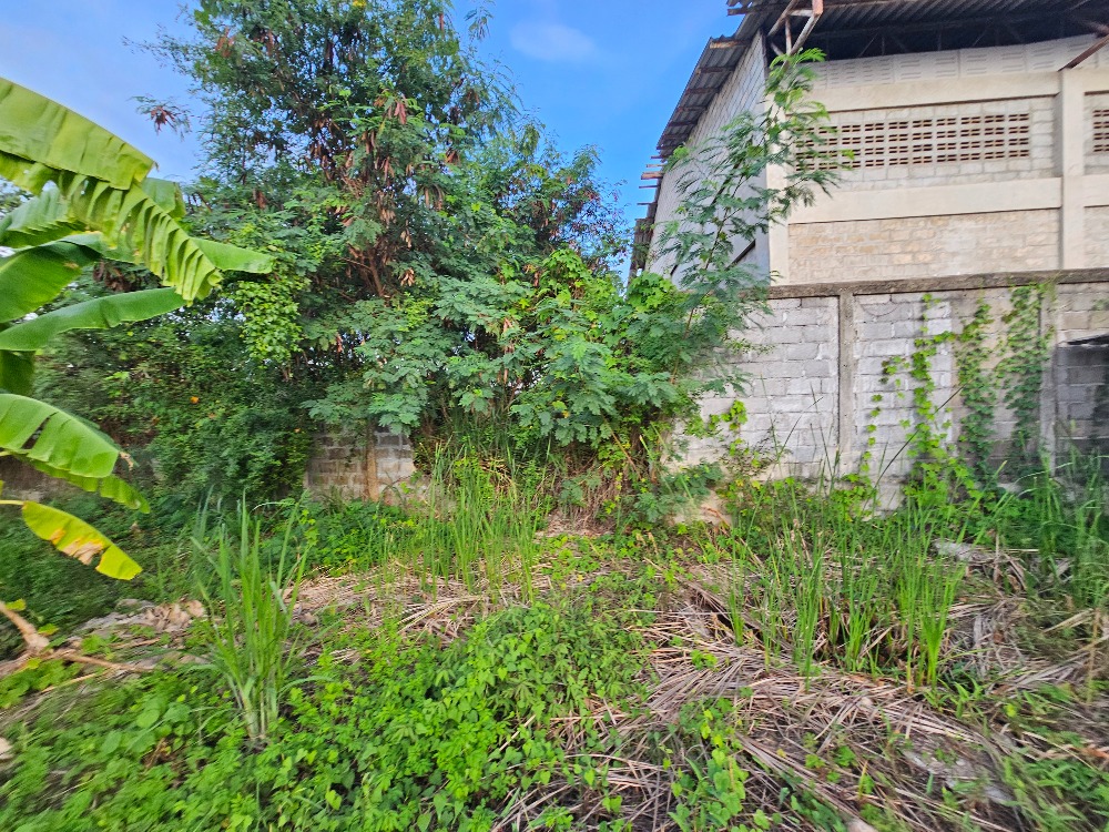 ขายที่ดินชะอำ เพชรบุรี : ขายที่ดินราคาถูก ชะอำ,เพชรบุรี