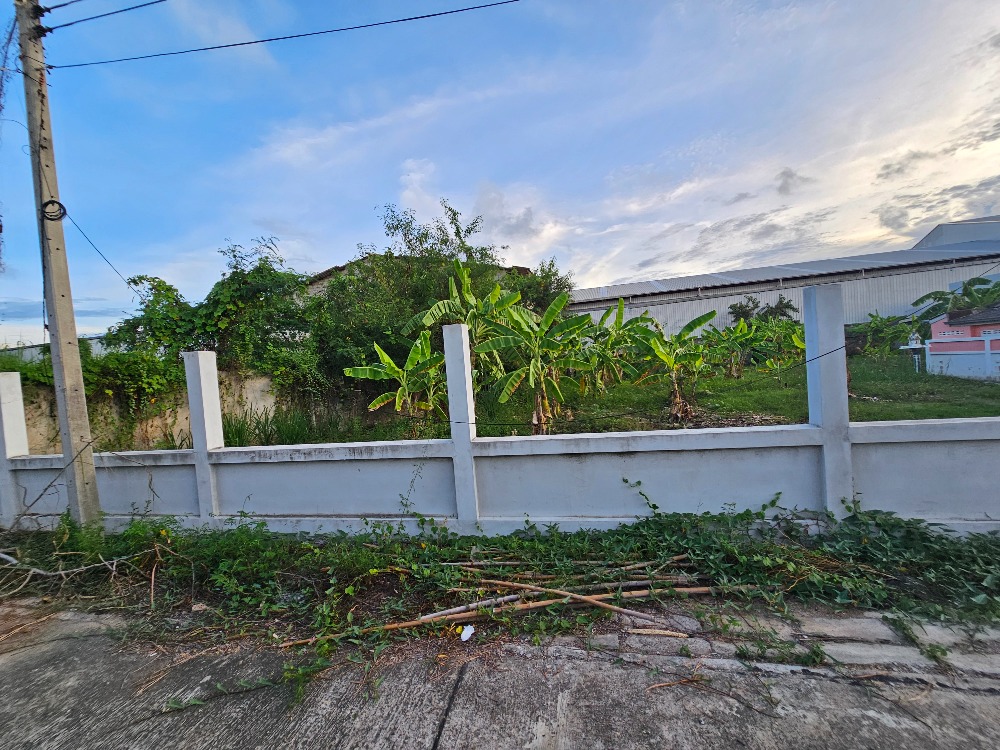 ขายที่ดินชะอำ เพชรบุรี : ขายที่ดินราคาถูก ชะอำ,เพชรบุรี