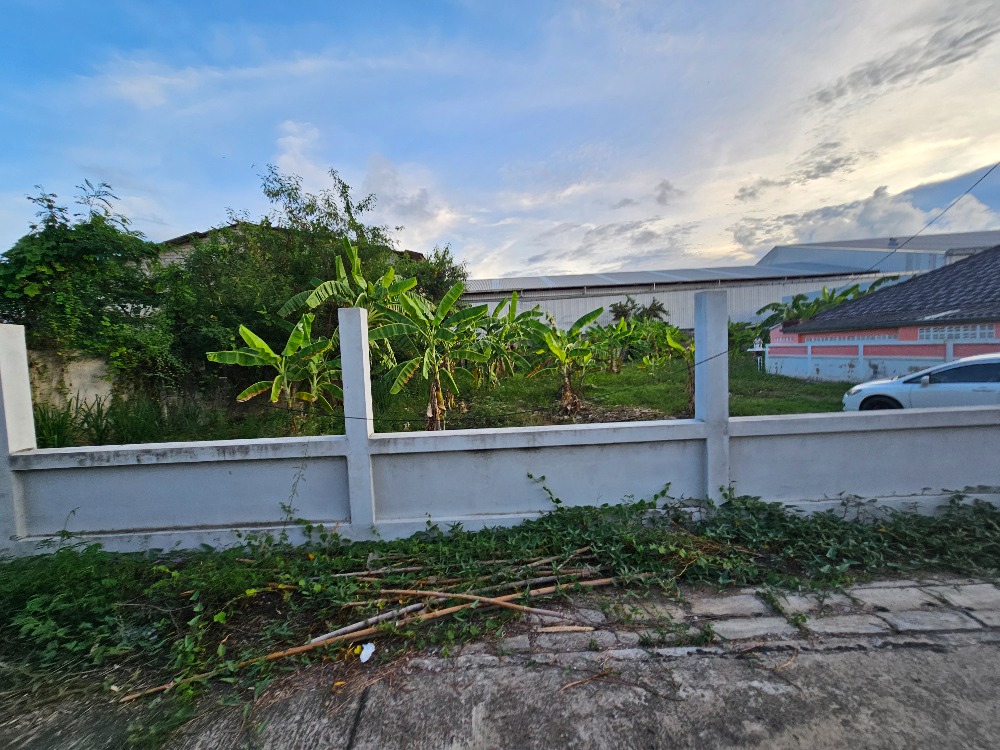 ขายที่ดินชะอำ เพชรบุรี : ขายที่ดินราคาถูก ชะอำ,เพชรบุรี