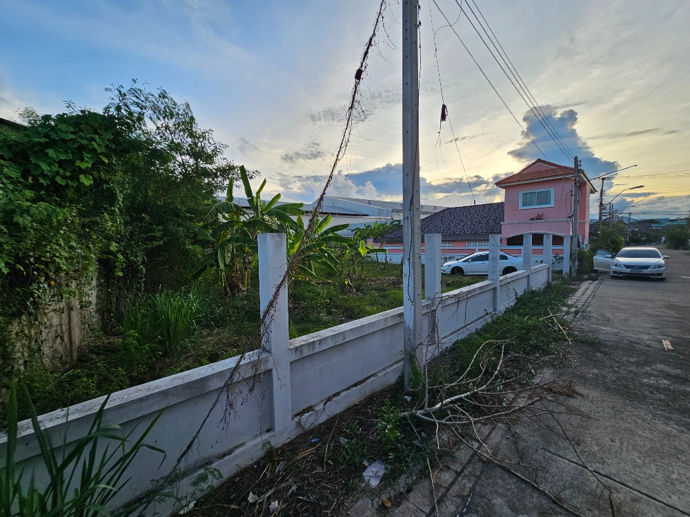 ขายที่ดินชะอำ เพชรบุรี : ขายที่ดินราคาถูก ชะอำ,เพชรบุรี