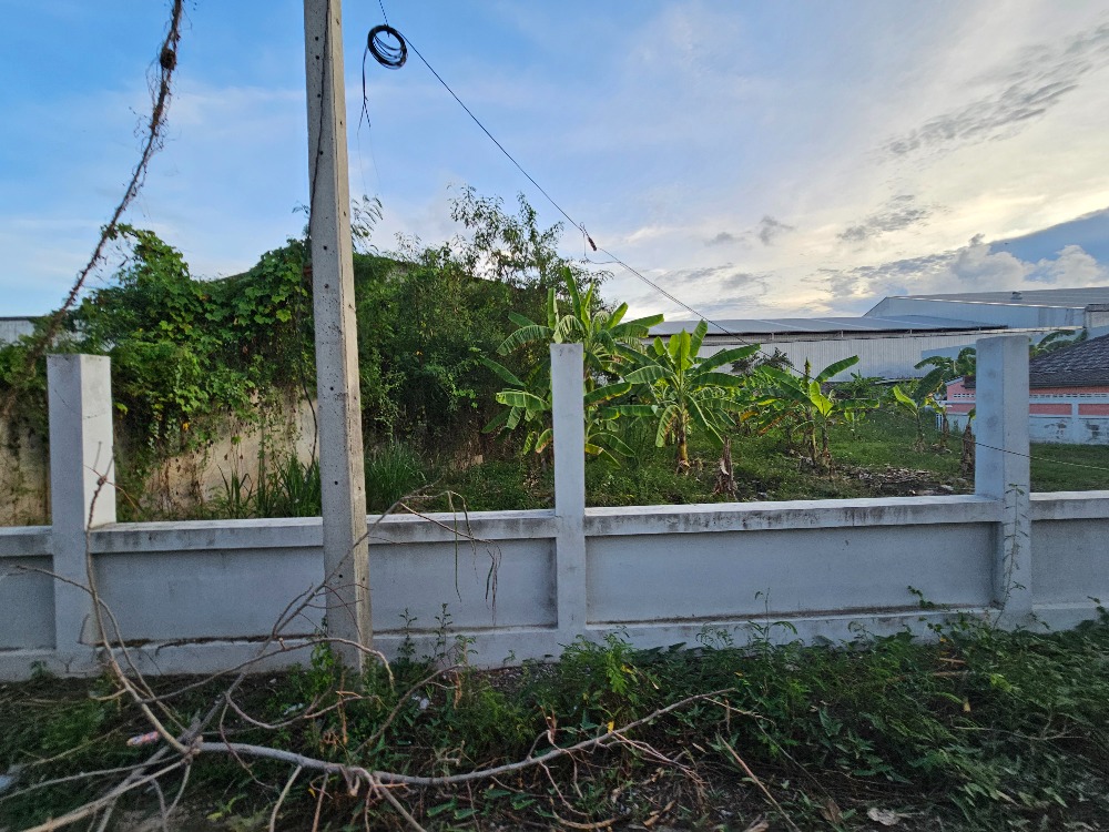 ขายที่ดินชะอำ เพชรบุรี : ขายที่ดินราคาถูก ชะอำ,เพชรบุรี