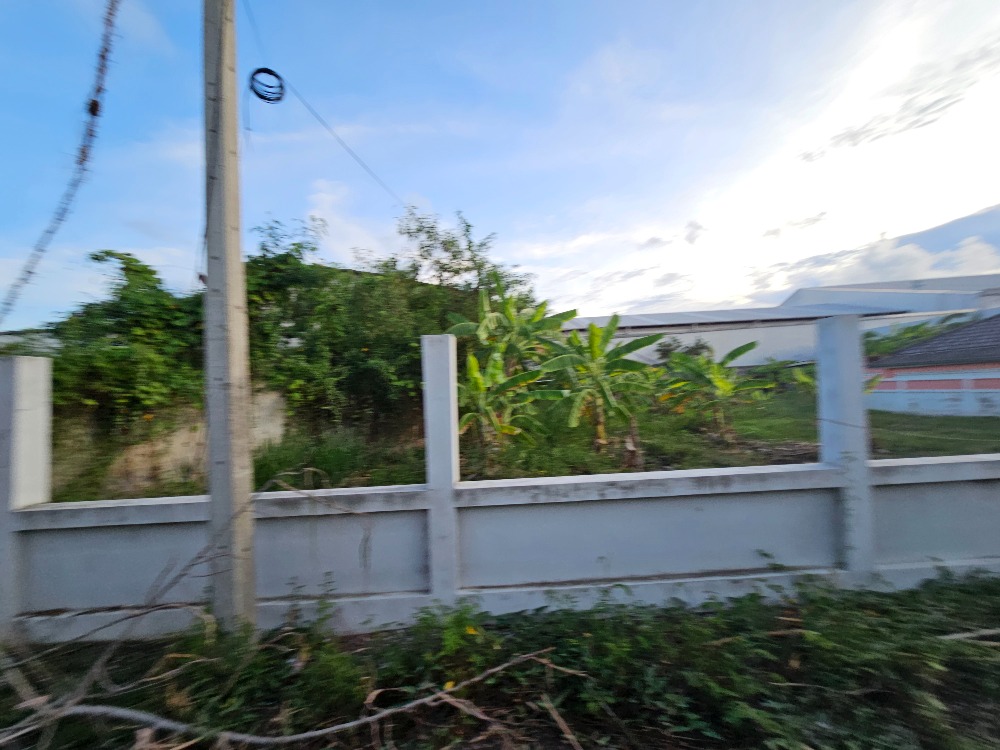 ขายที่ดินชะอำ เพชรบุรี : ขายที่ดินราคาถูก ชะอำ,เพชรบุรี