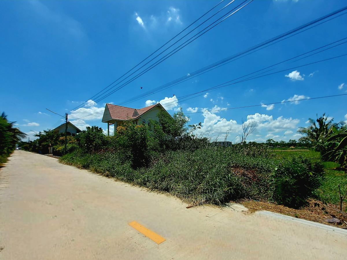 ขายที่ดินปทุมธานี รังสิต ธรรมศาสตร์ : ขาย ที่ดิน 200 ตร.ว. คลองห้า คลองหลวง ใกล้สนามกอล์ฟอัลไพน์ ซอยตะวันออก 26