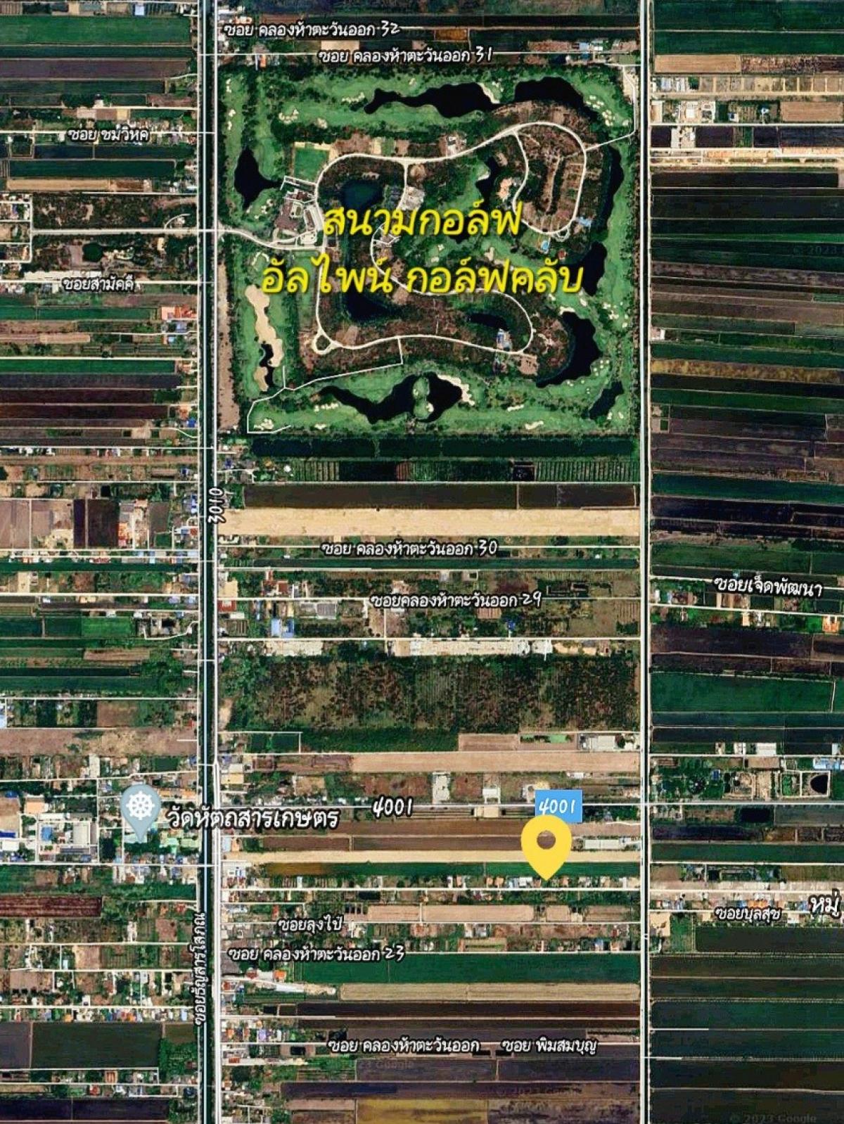 ขายที่ดินปทุมธานี รังสิต ธรรมศาสตร์ : ขาย ที่ดิน 200 ตร.ว. คลองห้า คลองหลวง ใกล้สนามกอล์ฟอัลไพน์ ซอยตะวันออก 26