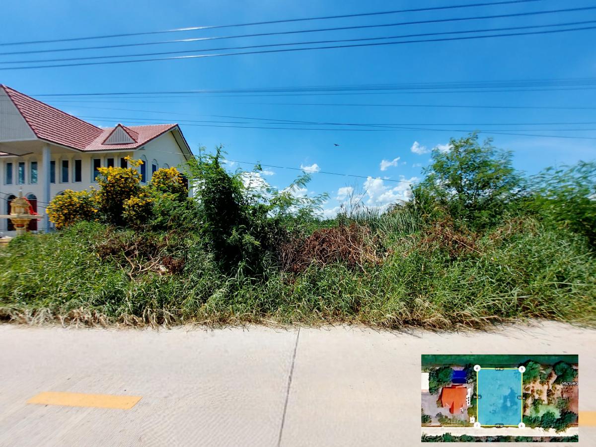 ขายที่ดินปทุมธานี รังสิต ธรรมศาสตร์ : ขาย ที่ดิน 200 ตร.ว. คลองห้า คลองหลวง ใกล้สนามกอล์ฟอัลไพน์ ซอยตะวันออก 26