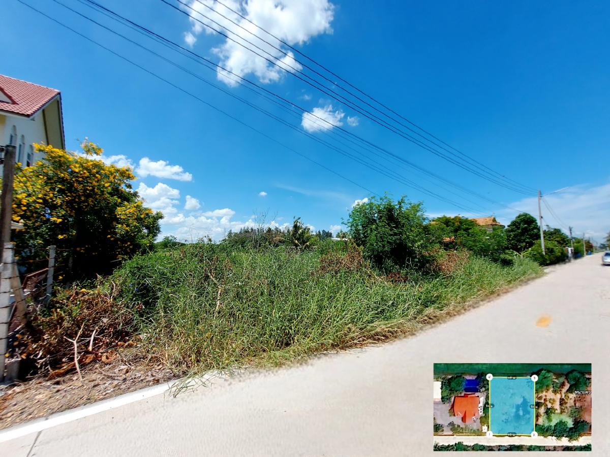 ขายที่ดินปทุมธานี รังสิต ธรรมศาสตร์ : ขาย ที่ดิน 200 ตร.ว. คลองห้า คลองหลวง ใกล้สนามกอล์ฟอัลไพน์ ซอยตะวันออก 26