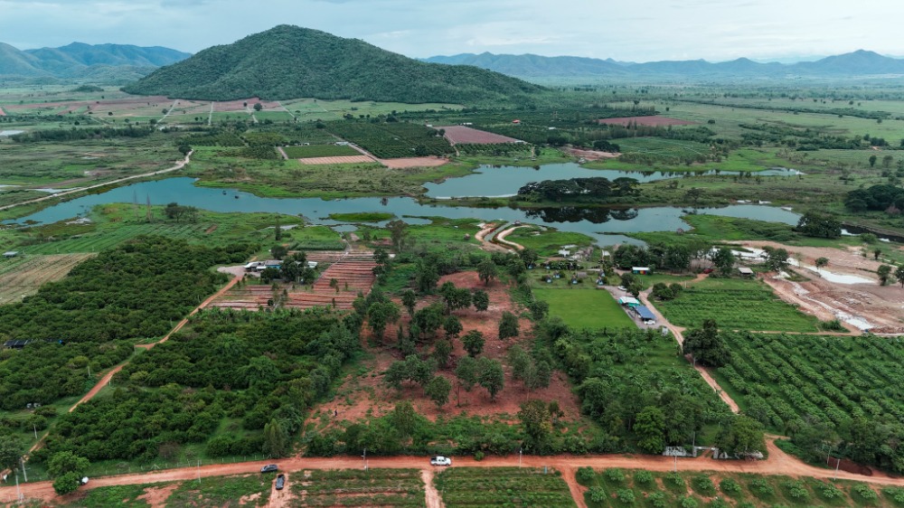 For SaleLandRatchaburi : Large plot of land..near Bangkok //“Huai Mai Teng, Ratchaburi//“