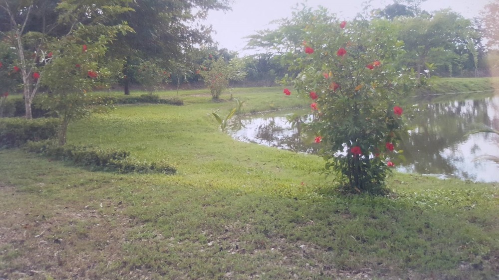 For SaleLandSa Kaeo : Land for sale 17-0-08 rai, on Chanthaburi-Sa Kaeo Road, Khao Chakan District, near Nong Krathum Temple