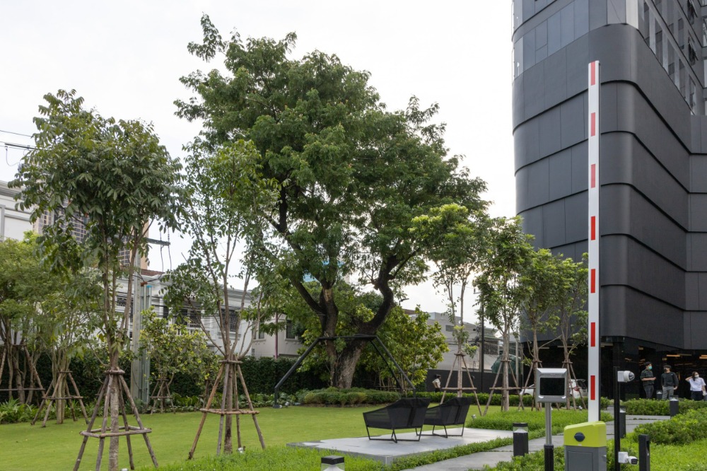 ขายคอนโดสุขุมวิท อโศก ทองหล่อ : ขายด่วน! IDEO Q Sukhumvit36 1BR ตำแหน่งเทพ ราคาดีที่สุดในโครงการ!