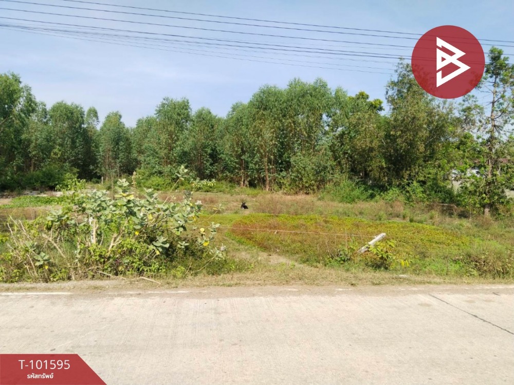 For SaleLandRatchaburi : Land for sale, area 2 rai 3 ngan 16 sq m, Chom Bueng, Ratchaburi