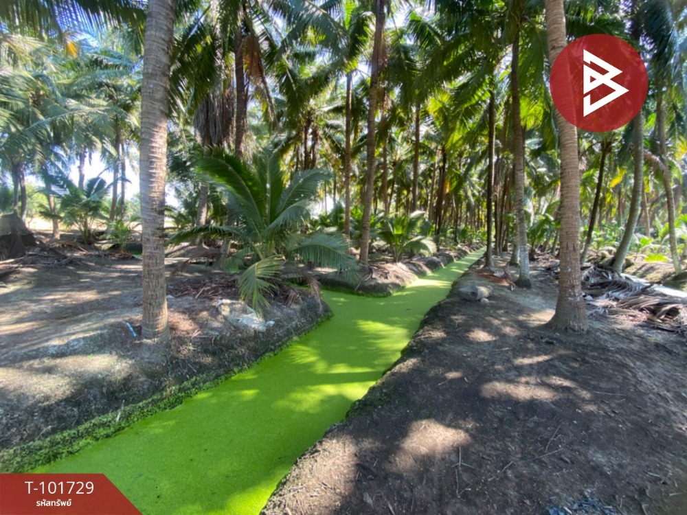 For SaleLandRatchaburi : Land for sale, area 1 rai 3 ngan 79.2 sq.wa, Wat Phleng, Ratchaburi