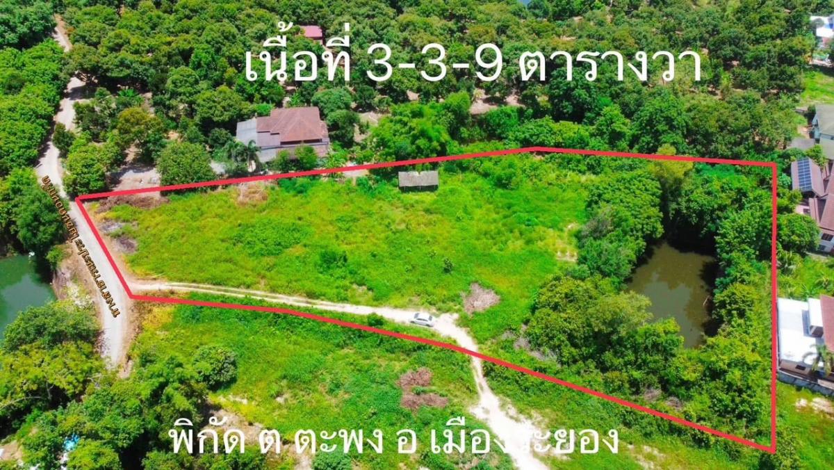 ขายที่ดินระยอง : ที่ดิน ต.ตะพง  อ.เมือง จ.ระยอง ราคาต่ำกว่าราคาตลาด